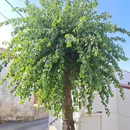 Ana-lora Apartment Lopar